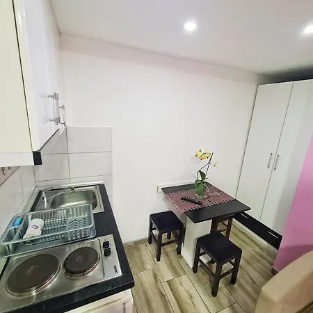 Aleksandra 2 4 * 索科矿泉村