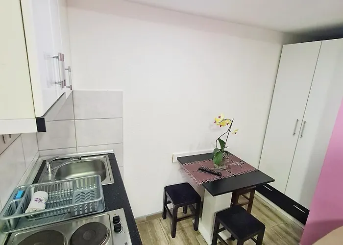 Aleksandra 2 4 * Soko Banja